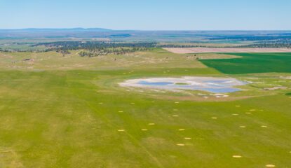 The Big Seep Dry Farm